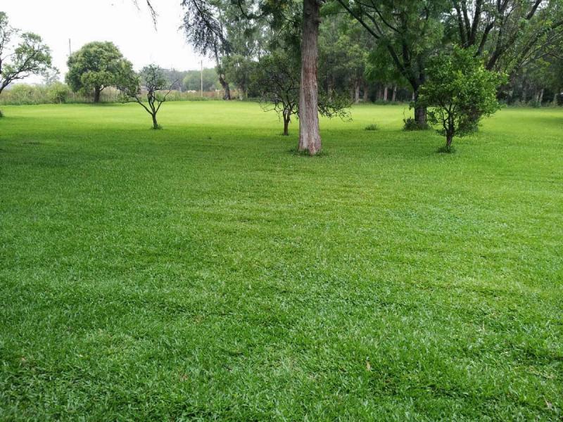 Finca El Naranjal - Aguadulce