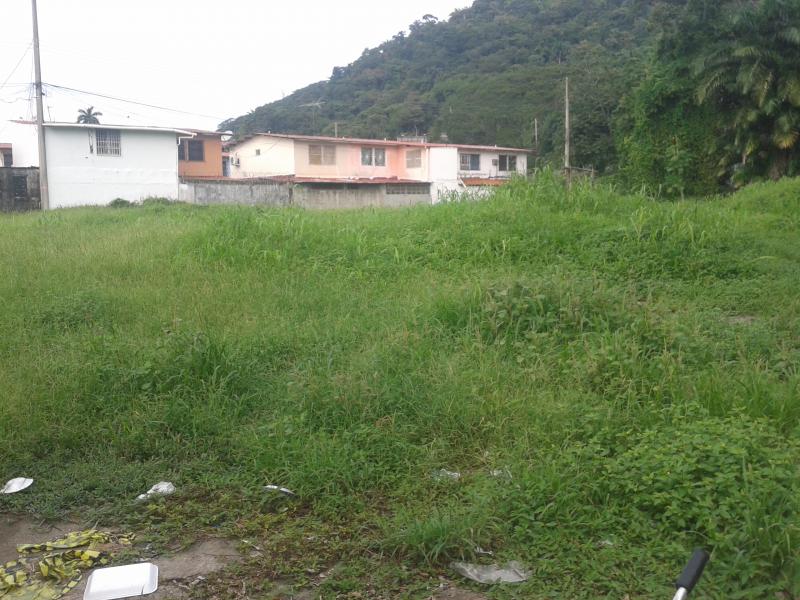 Limpieza (Antes) - Balboa