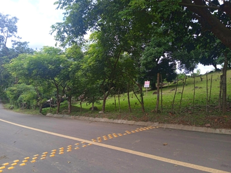 Homepage Propiedades en Panamá Bienes Raíces NICHOLSON Real