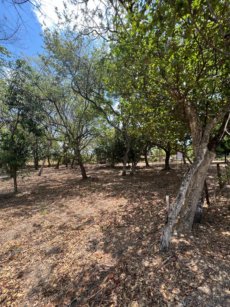 WhatsApp Image 2023-04-26 at 3.58.53 PM