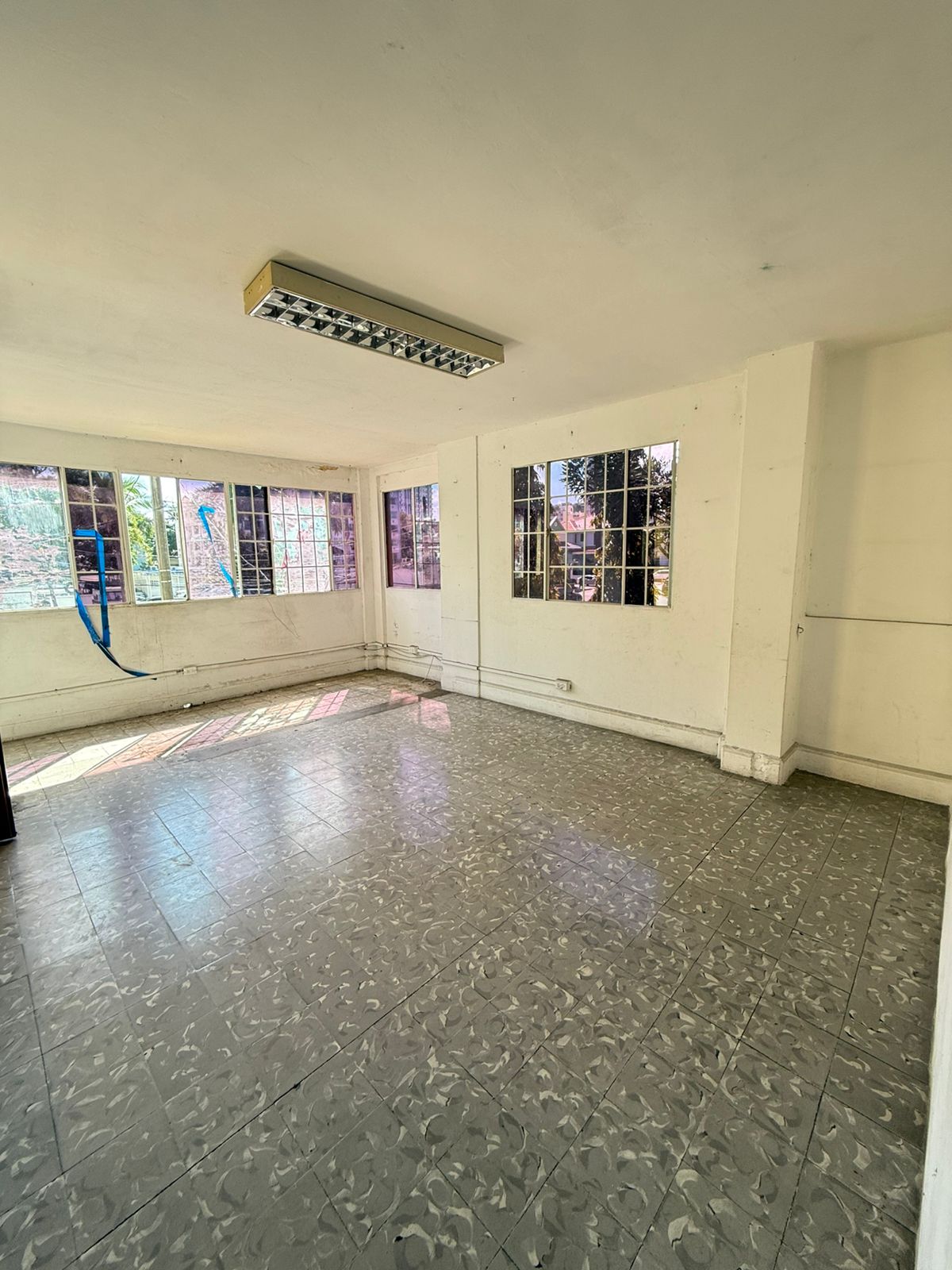 WhatsApp Image 2025-11-08 at 11.10.50 AM