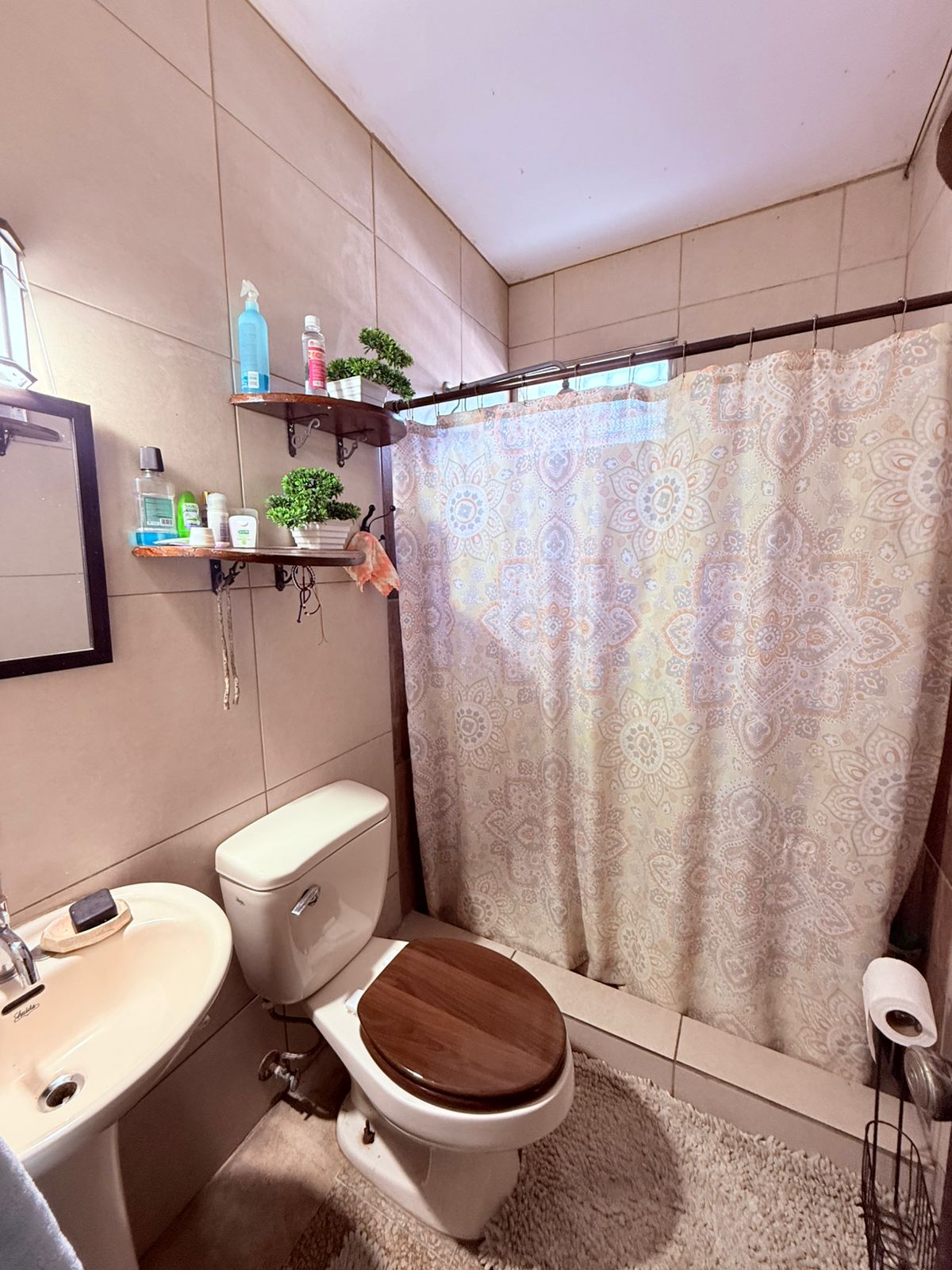 WhatsApp Image 2026-01-06 at 11.24.34 AM