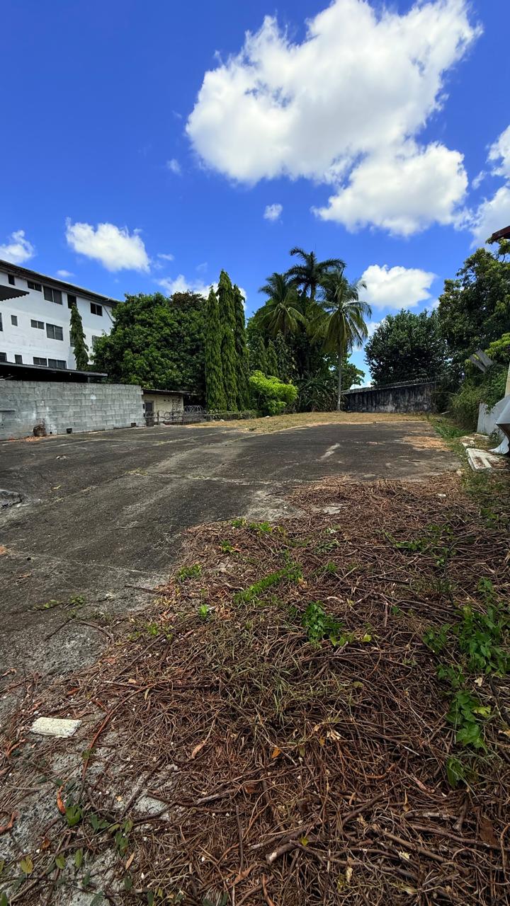 WhatsApp Image 2026-03-25 at 9.01.09 AM