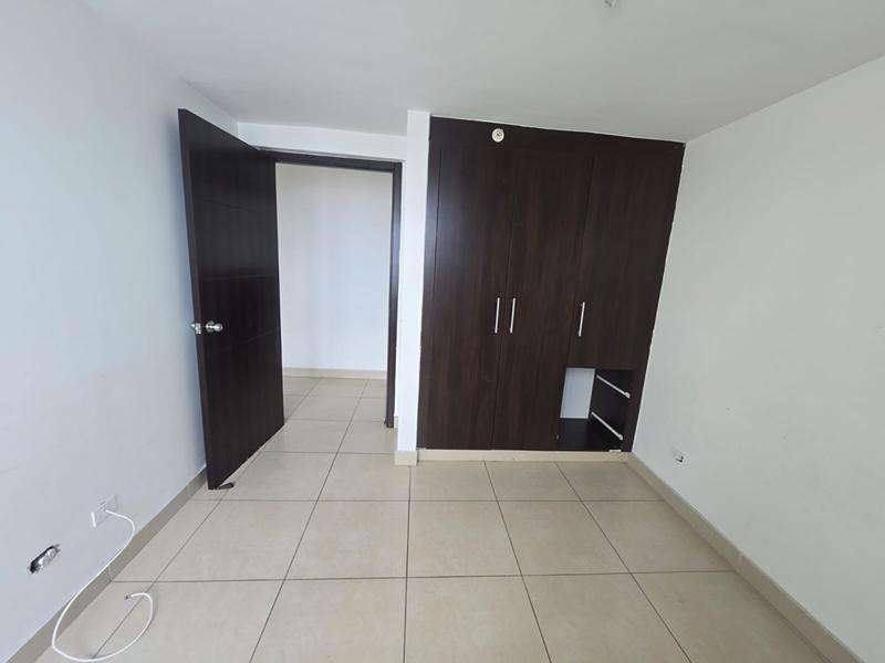 800