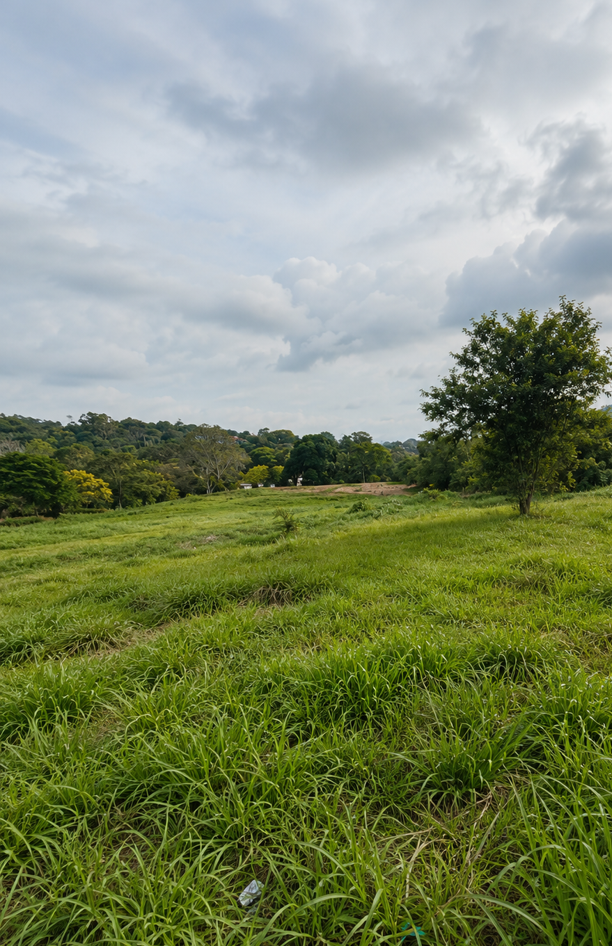 f9423161-e1d8-483a-9532-db2f0e43ca1c